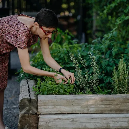 Aiva Glamping Dovolenkový dom *
