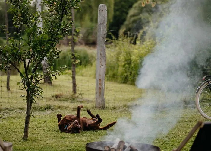 בית נופש Aiva Glamping