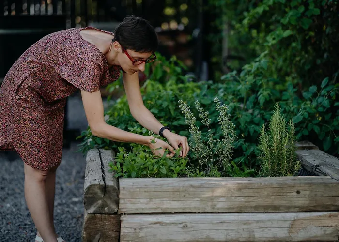 Aiva Glamping בית נופש *