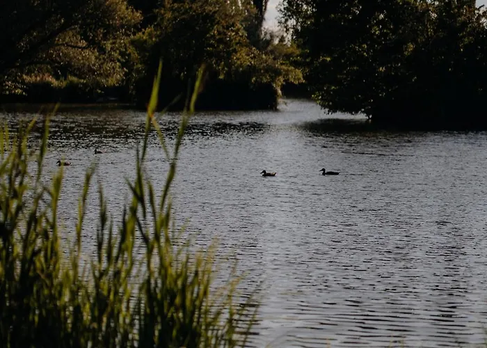 בית נופש Aiva Glamping פרטיזנסקה